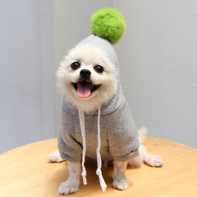 Pet Onesie - Fruit/Animal/Beanie