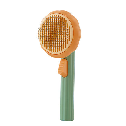 Pumpkin Pet Hair Remover Brush