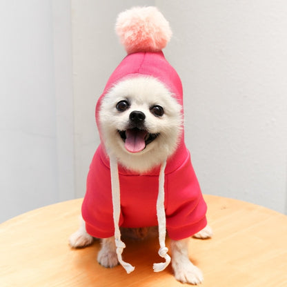 Pet Onesie - Fruit/Animal/Beanie