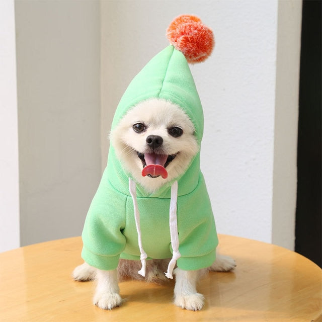 Pet Onesie - Fruit/Animal/Beanie