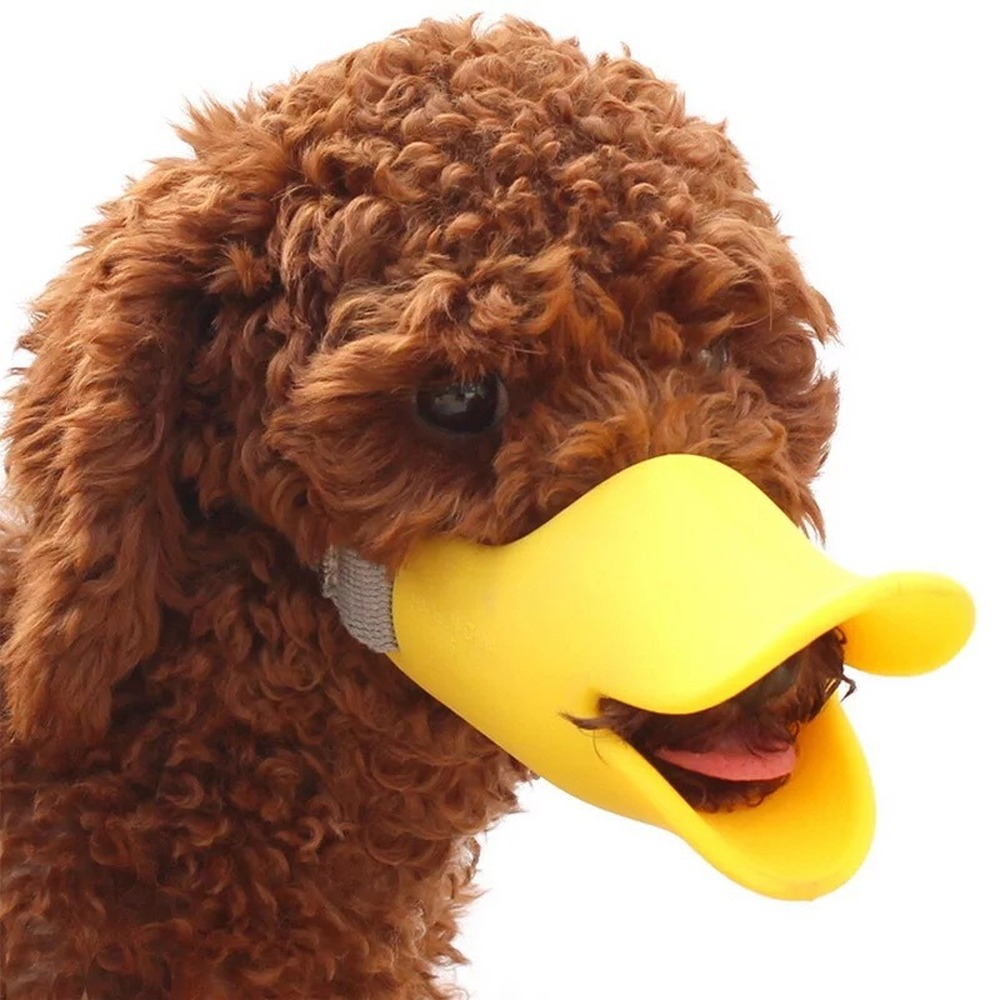 Duck Lips - Pet Muzzle