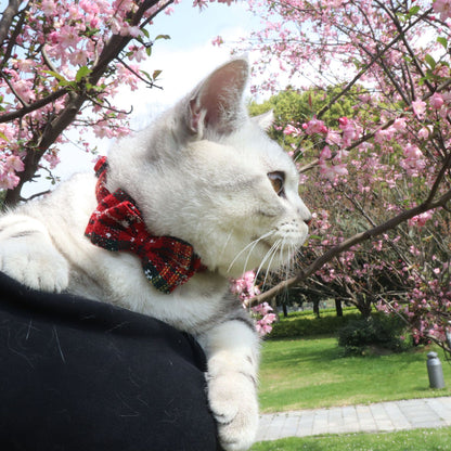 Red Striped Cat Bowtie Collar