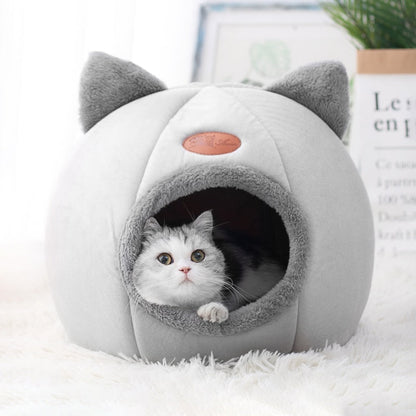 Comfy Cat Dome