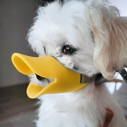 Duck Lips - Pet Muzzle