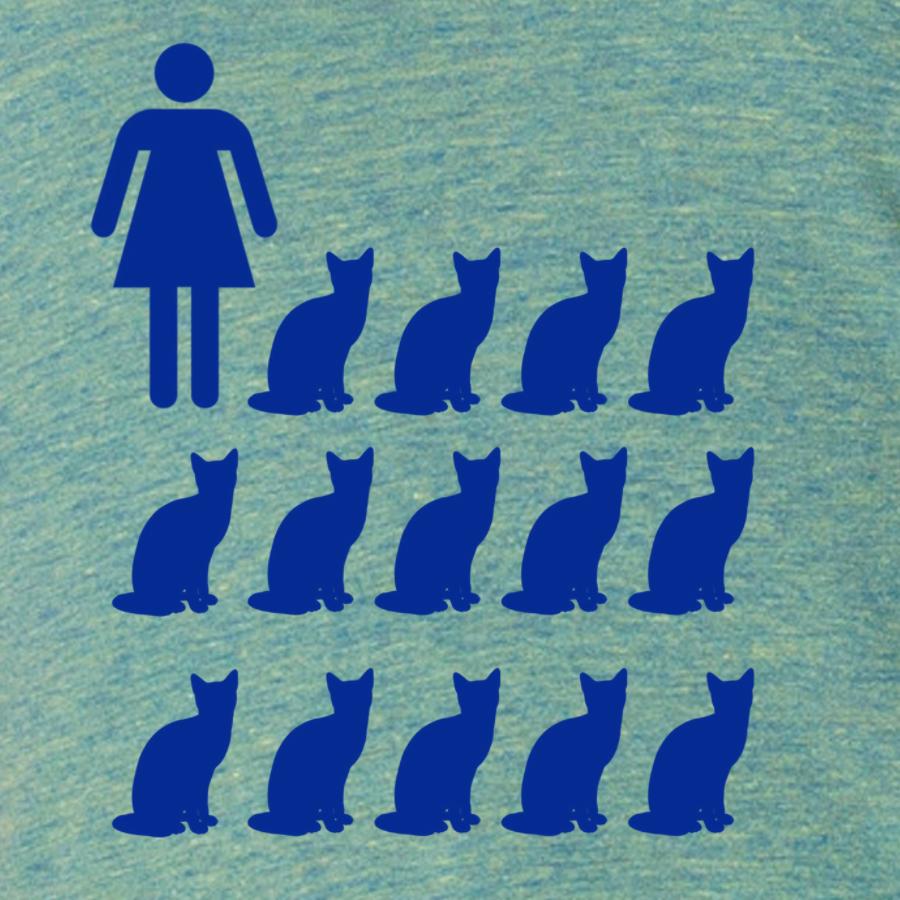 Crazy Cat Lady Shirt