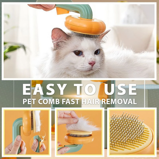 Pumpkin Pet Hair Remover Brush