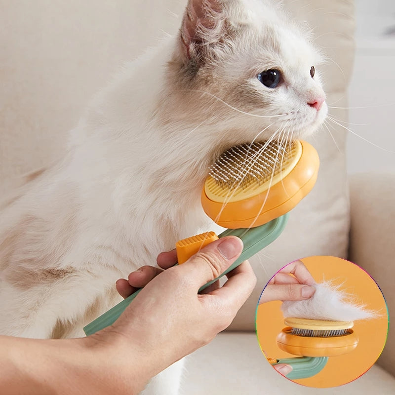 Pumpkin Pet Hair Remover Brush