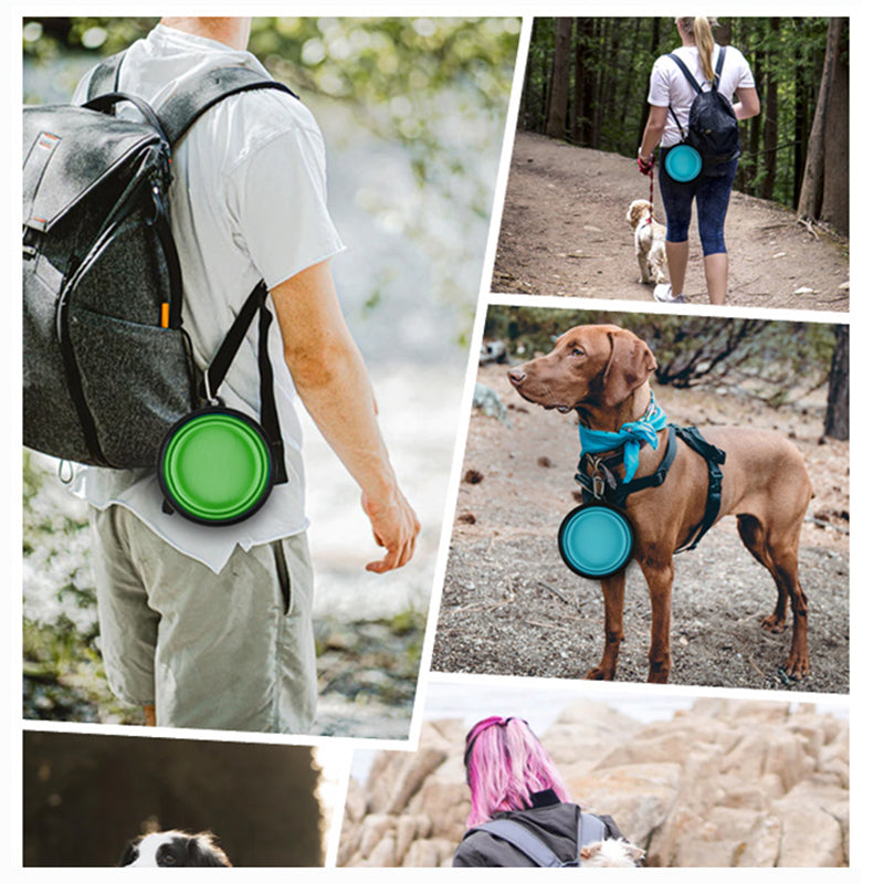 Collapsible Pet Bowl